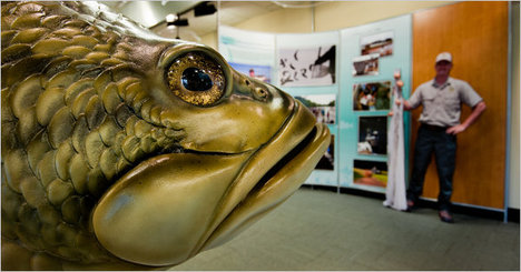 BassLargemouthGoFishMuseum2011-05-19.jpg