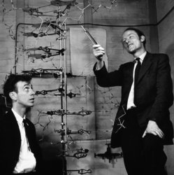 WatsonAndCrick2013-01-11.jpg