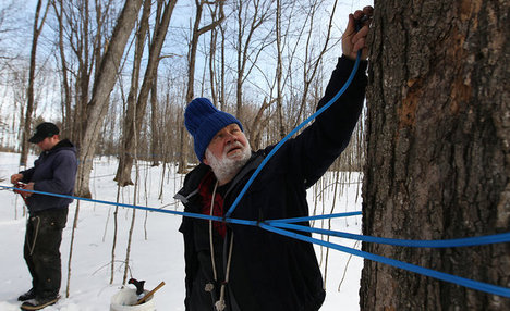 MapleSyrupTubingVermont2013-04-06.jpg