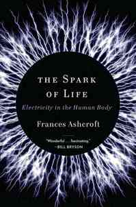 TheSparkOfLifeBK2013-05-05.jpg